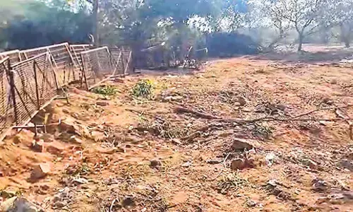 Telangana: चेंगिचेर्ला बूचड़खाने में भूमि अतिक्रमण का प्रयास
