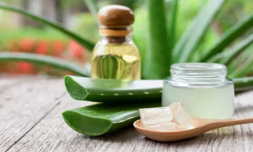 Lifestyle: पतले बालों को लम्बा घना और मजबूत करने के लिए  ट्राई करें यह एलोवेरा जेल मास्क