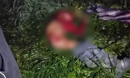 बच्चा कटी पतंग के पीछे गया, आवारा कुत्तों ने बनाया निशाना, नोंच-नोंचकर मार डाला