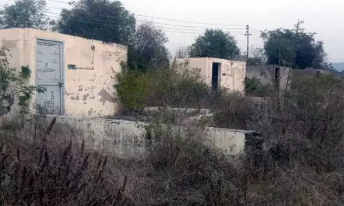 Himachal: उपेक्षा ने पोंग वेटलैंड में पर्यटन ढांचे को बर्बाद कर दिया