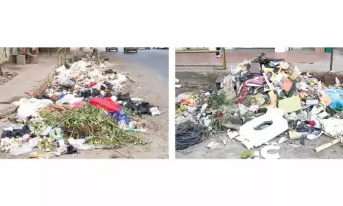 Nagaland : दीमापुर कचरा निपटान के लिए संघर्ष कर रहा