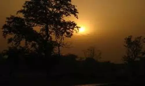 Ranchi: ठंड ने झारखंड को कहा अलविदा, हो गया गर्मी का आगाज