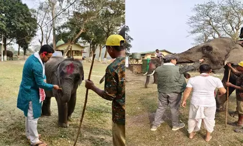 Assam : पोबितोरा वन्यजीव अभयारण्य में विश्व आर्द्रभूमि दिवस मनाया Assam : पोबितोरा वन्यजीव अभयारण्य में विश्व आर्द्रभूमि दिवस मनाया