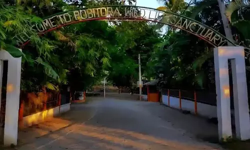 Assam के पोबितोरा वन्यजीव अभयारण्य में जलीय पक्षियों की संख्या में 50 प्रतिशत Assam के पोबितोरा वन्यजीव अभयारण्य में जलीय पक्षियों की संख्या में 50 प्रतिशत