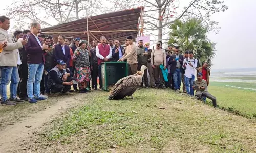 Assam :  प्रजातियों के साथ अब तक की सबसे अधिक प्रवासी पक्षी संख्या दर्ज की गई