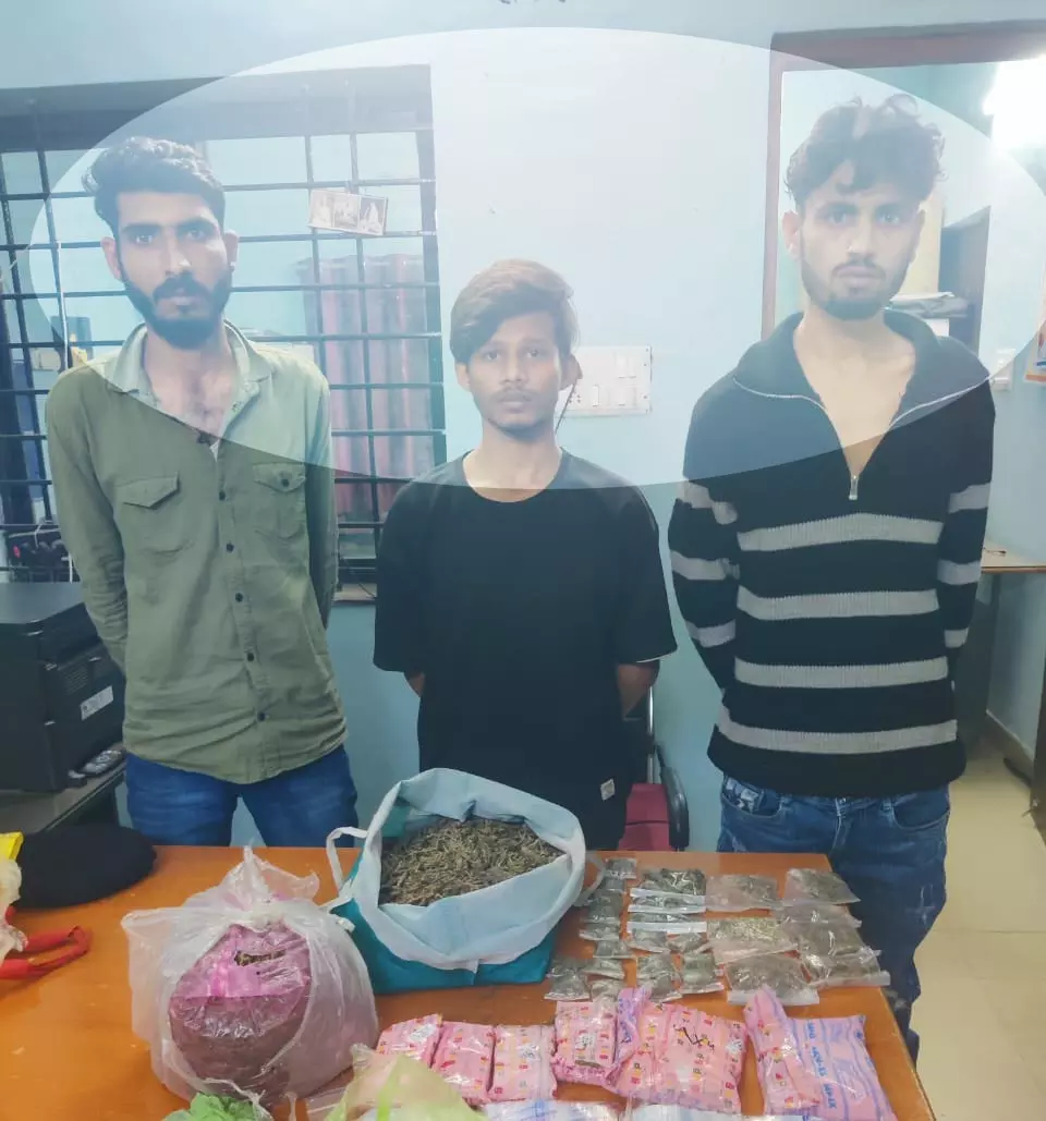 कांदुल रोड में गांजा बेचते तीन लड़के गिरफ्तार, मुजगहन पुलिस ने पकड़ा कांदुल रोड में गांजा बेचते तीन लड़के गिरफ्तार, मुजगहन पुलिस ने पकड़ा