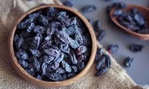 Health:रोज सुबह खाली पेट पिएं ये ड्राई फ्रूट्स का पानी, कई समस्याओं से मिलेगा छुटकारा