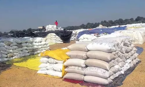Odisha: कालाहांडी में रिकॉर्ड धान खरीद की तैयारी