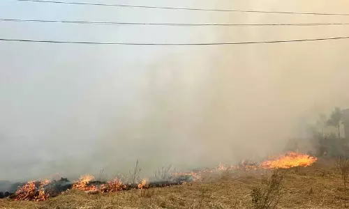 सुप्रीम कोर्ट ने CAQM को पंजाब, हरियाणा, यूपी के साथ बैठक करने को कहा सुप्रीम कोर्ट ने CAQM को पंजाब, हरियाणा, यूपी के साथ बैठक करने को कहा