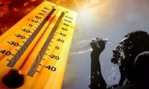 फरवरी के पहले सप्ताह में Odisha के कुछ हिस्सों में तापमान 30 डिग्री सेल्सियस के पार पहुंचा