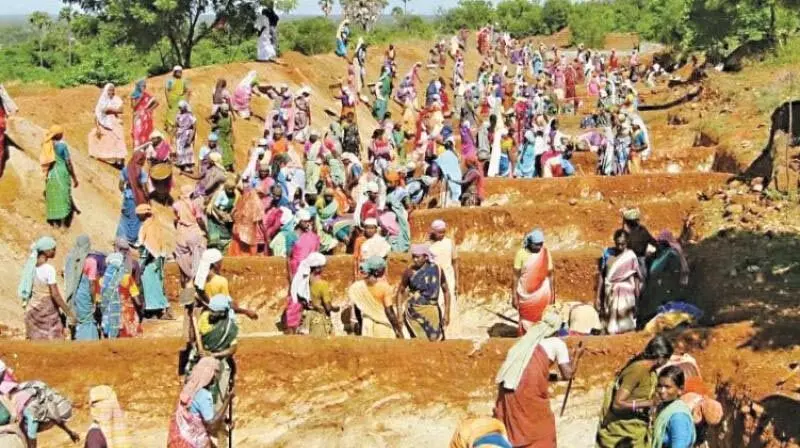 2023-24 में तेलंगाना में MGNREGS से 1,21,422 सक्रिय श्रमिकों का पंजीकरण रद्द किया