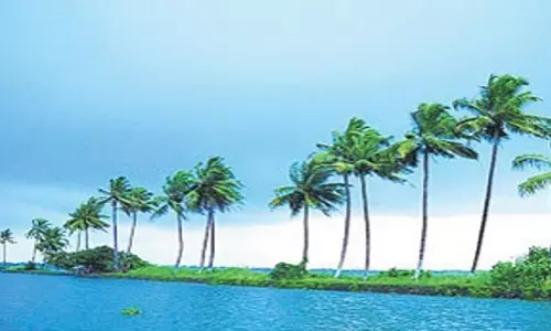 Kerala: SWTD कुट्टनाड को पथिरमनल से जोड़ने के लिए पर्यटक नाव यात्रा की योजना बना रहा