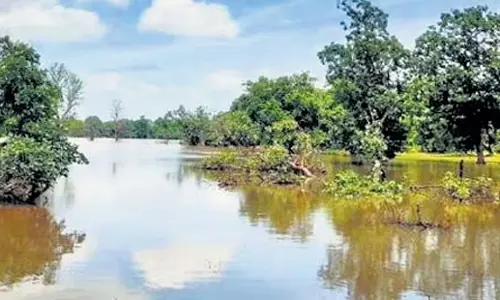 Telangana: 130 शहरी स्थानीय निकायों में 138 जल निकायों का पुनरुद्धार किया जाएगा Telangana: 130 शहरी स्थानीय निकायों में 138 जल निकायों का पुनरुद्धार किया जाएगा