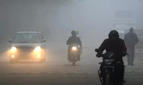 Tamil Nadu: अगले 2-3 दिनों तक घना कोहरा और ठंड का मौसम रहने की संभावना