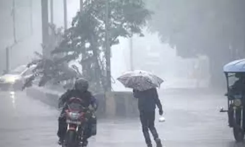 Weather : राजस्थान में कई जिलों में बारिश के बाद कोहरे की चेतावनी Weather : राजस्थान में कई जिलों में बारिश के बाद कोहरे की चेतावनी