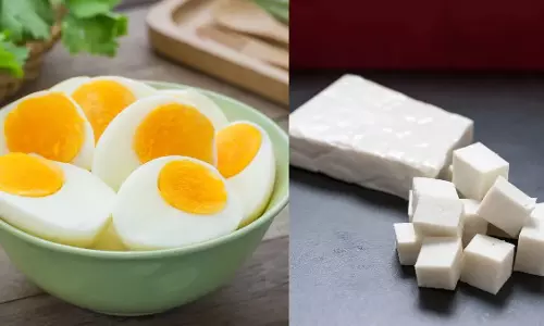 अंडा या पनीर: वजन कम करने के लिए नाश्ते में कौन सा प्रोटीन स्रोत बेहतर अंडा या पनीर: वजन कम करने के लिए नाश्ते में कौन सा प्रोटीन स्रोत बेहतर