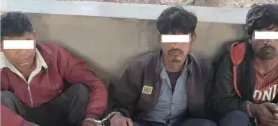 Paliakalan: नेपाल के धनगढ़ी में दो भारतीय समेत तीन गिरफ्तार Paliakalan: नेपाल के धनगढ़ी में दो भारतीय समेत तीन गिरफ्तार
