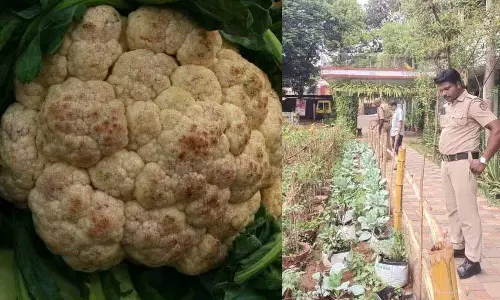 Kerala :  सिवनकुट्टी अप्पूप्पा इस मामले को गंभीरता से लें