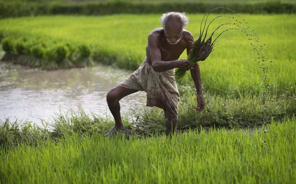 जर्मन KfW बैंक प्रतिनिधिमंडल ने कडप्पा में प्राकृतिक खेती के खेतों का दौरा किया