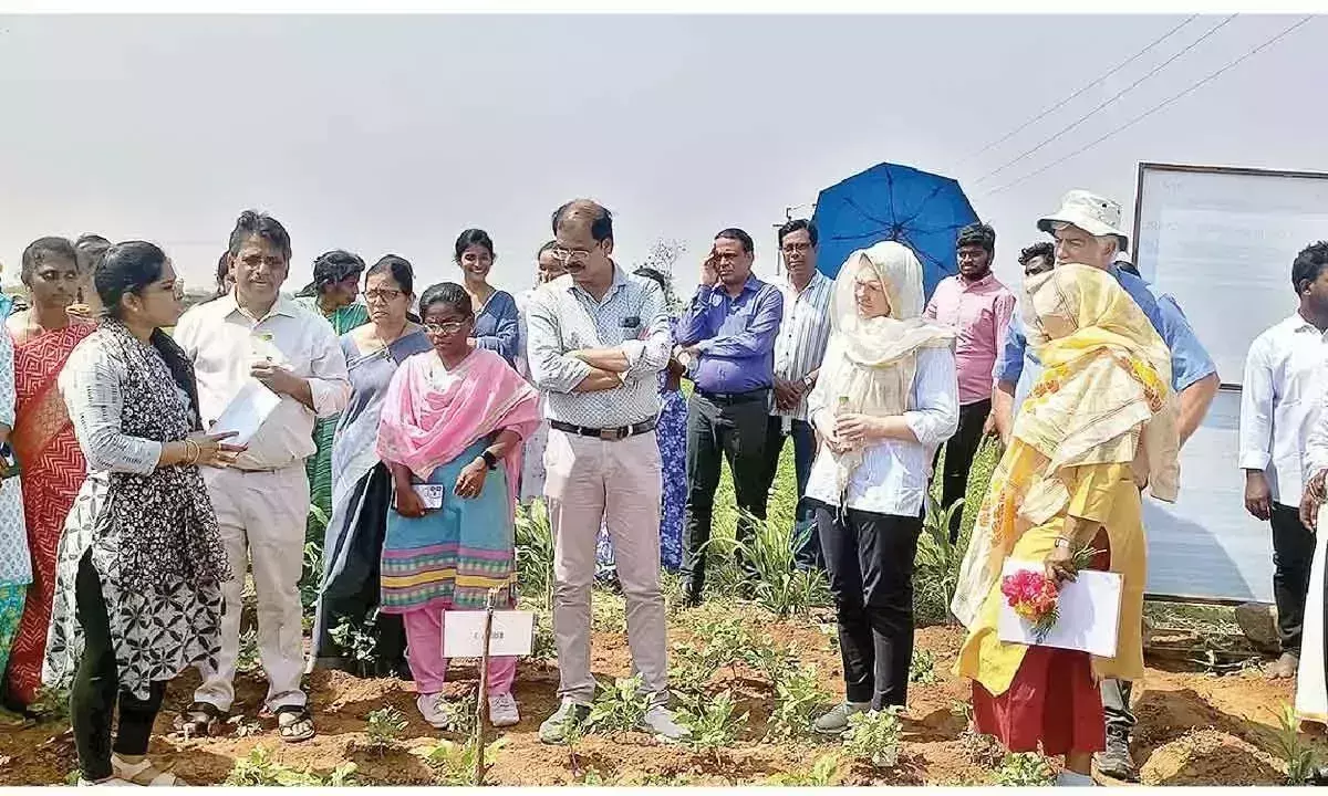 जर्मन बैंक टीम ने YSR जिले में प्राकृतिक खेती के खेतों का दौरा किया