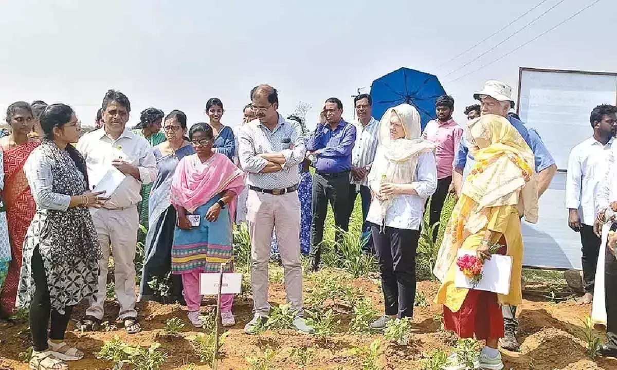 जर्मन बैंक टीम ने प्राकृतिक खेती के खेतों का दौरा किया, लाभ की जानकारी ली