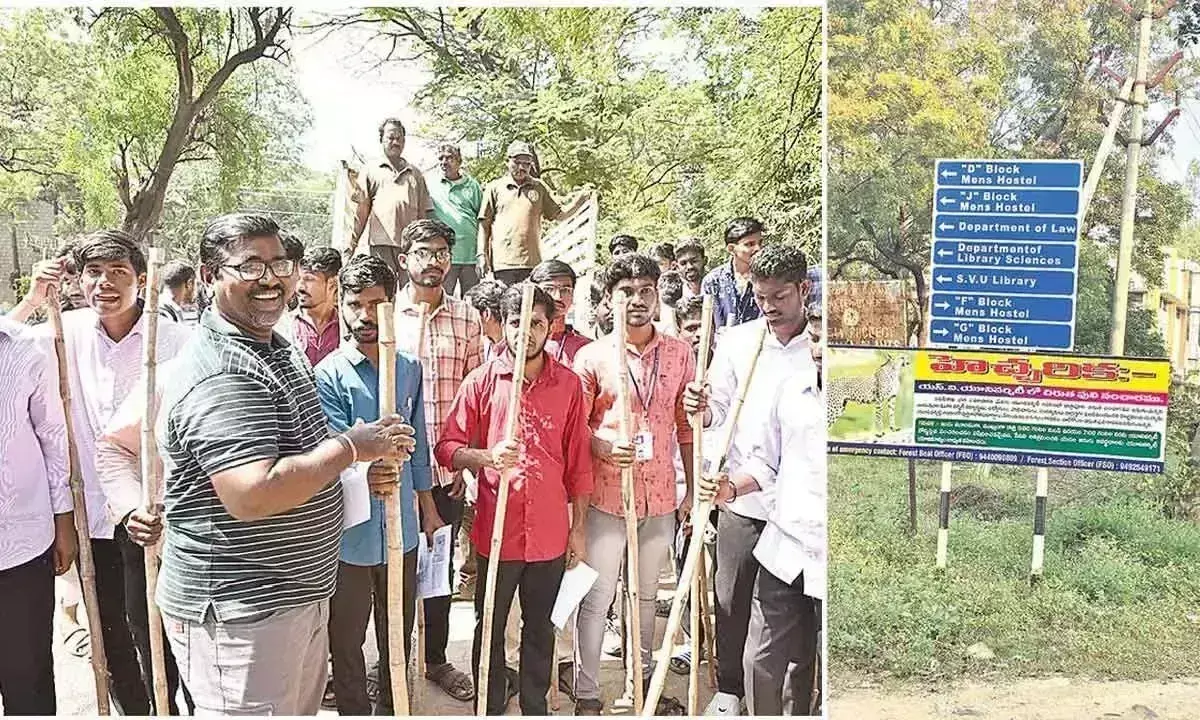 Andhra: तेंदुए के दिखने से तिरुपति के विश्वविद्यालयों में हाई अलर्ट