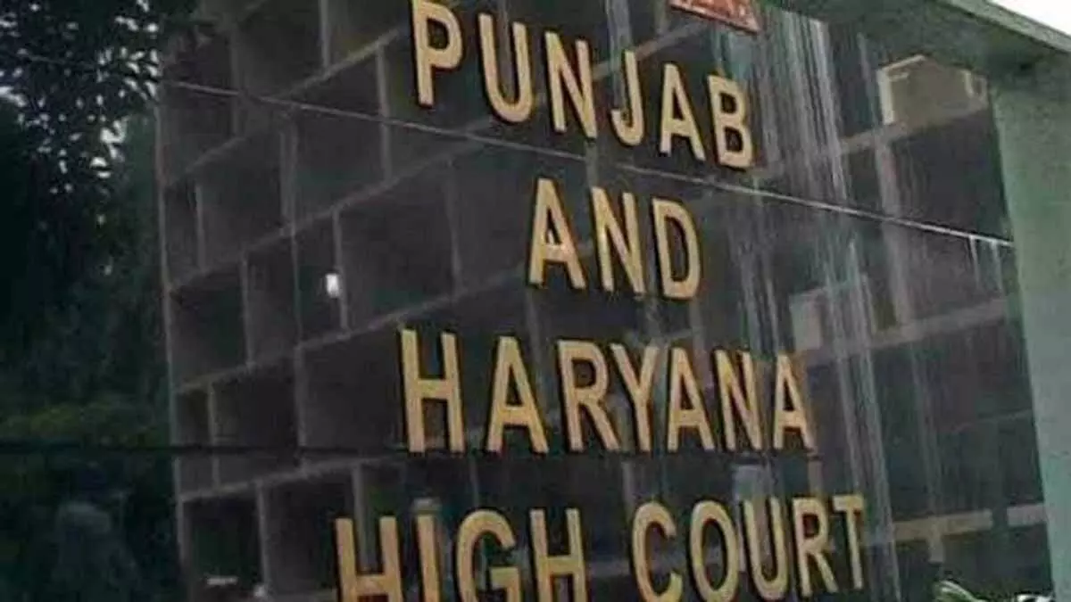 High Court ने डॉक्टर के अस्पष्ट ‘लेखन’ को ठीक करने का आह्वान किया