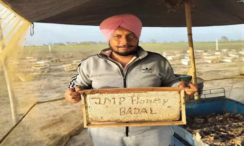 Punjab: बाजवा ने निर्वासित युवाओं के लिए पुनर्वास कार्यक्रम की मांग की Punjab: बाजवा ने निर्वासित युवाओं के लिए पुनर्वास कार्यक्रम की मांग की