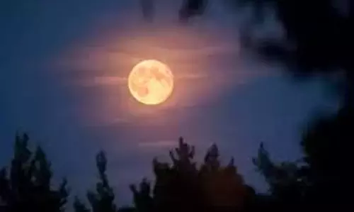 Magh Purnima 2025: माघ पूर्णिमा कब मनाई जाएगी जाने शुभ मुहूर्त