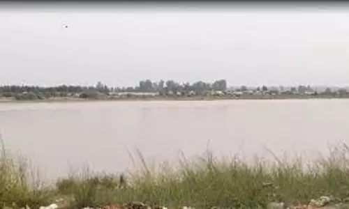 Yamunanagar news:  मूर्ति विसर्जन करने आया व्यक्ति नहर में डूबा