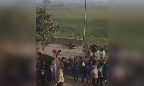 तेंदुए ने ग्रामीणों पर किया हमला, कई लोग घायल, VIDEO
