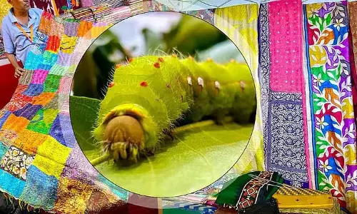 Kokrajhar में मुगा रेशम विज्ञान कृषि मेले का आयोजन किया