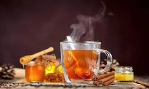 Lifestyle: अपना वजन कम करने के लिए डाइट में शामिल करें ये 5 तरह की चाय