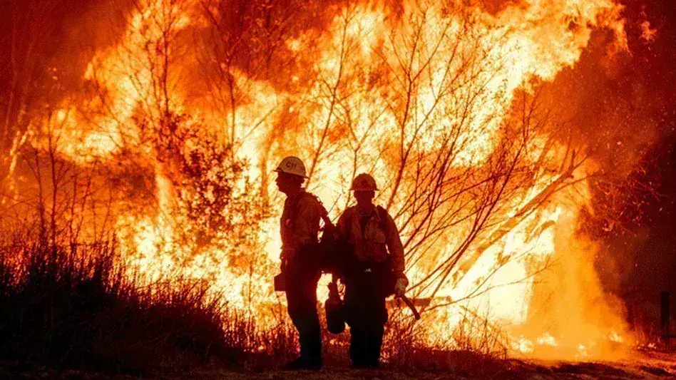 Los Angeles के जंगल में आग लगने से हुआ 164 अरब डॉलर का नुकसान