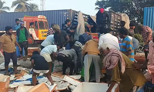 मछली पकड़ने वाली वैन का टायर फटने से दुर्घटना: मछलियों को पकड़ने के लिए लोगों में होड़