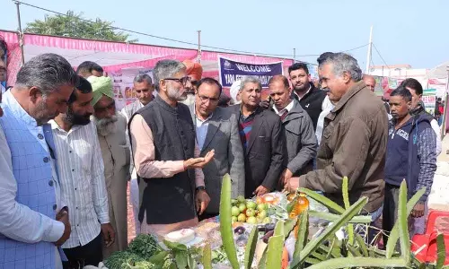 Haryana : फ्रूट एक्सपो ’25 किसानों ने फसल उत्पादन और आय बढ़ाने के तरीके सीखे Haryana : फ्रूट एक्सपो ’25 किसानों ने फसल उत्पादन और आय बढ़ाने के तरीके सीखे