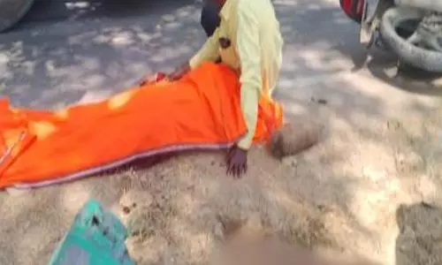 सरपंच प्रत्याशी की मौत, ट्रक ने कुचला