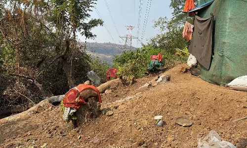 पहाड़ी पर 30 अवैध मंदिर बने हुए RTI से पता चला कि कोई कार्रवाई नहीं की गई पहाड़ी पर 30 अवैध मंदिर बने हुए RTI से पता चला कि कोई कार्रवाई नहीं की गई