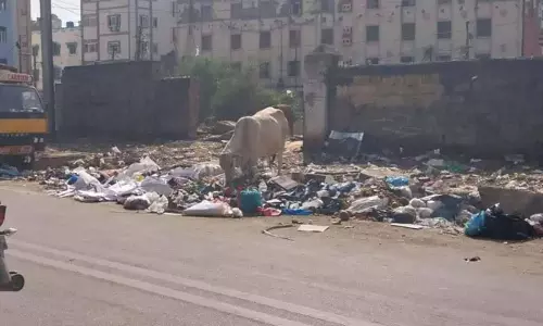 Hyderabad निवासियों ने कचरा निपटान डिब्बों को पुनः स्थापित करने का आग्रह किया Hyderabad निवासियों ने कचरा निपटान डिब्बों को पुनः स्थापित करने का आग्रह किया