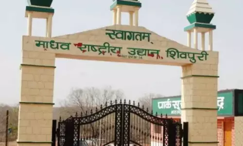 माधव राष्ट्रीय उद्यान को जल्द ही टाइगर रिजर्व घोषित किया जाएगा- सीएम मोहन यादव