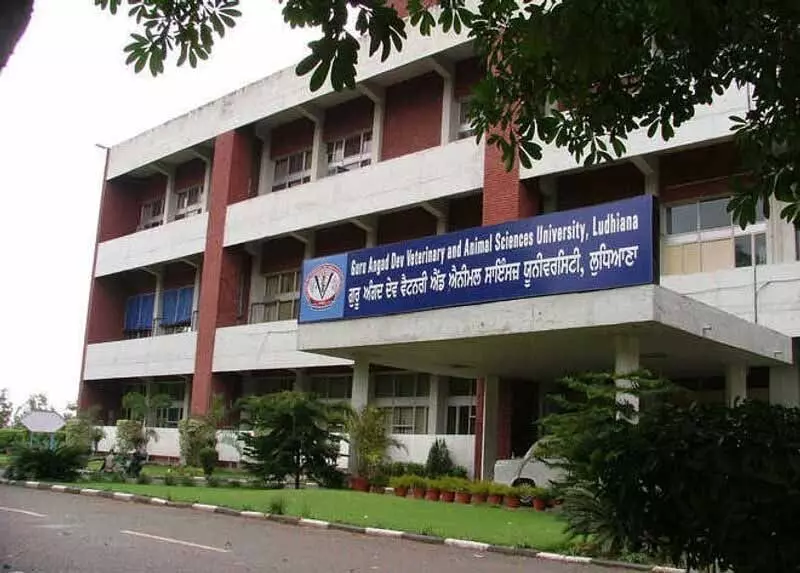 Veterinary University ने नए अधिकारियों की नियुक्ति की