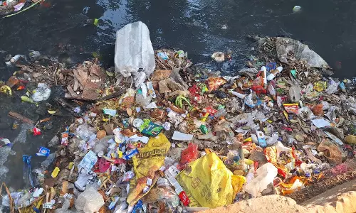 मोवा के आदर्श नगर में कचरा फेंकने वालों की हदें पार मोवा के आदर्श नगर में कचरा फेंकने वालों की हदें पार