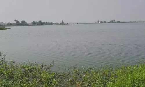 Chhatrapur आंध्र प्रदेश में मछली व्यापारियों ने कब्जा कर लिया Chhatrapur आंध्र प्रदेश में मछली व्यापारियों ने कब्जा कर लिया