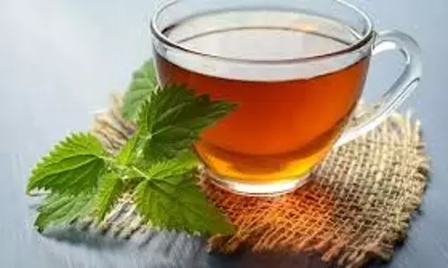 Health:  लंबे समय तक स्वस्थ और फिट रहना चाहते हैं तो आज ही अपने जीवन में करें ये बदलाव