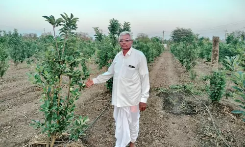मिश्रित खेती में आय का आनंद: कलहल्ली का कुडू परिवार किसानों के लिए आदर्श