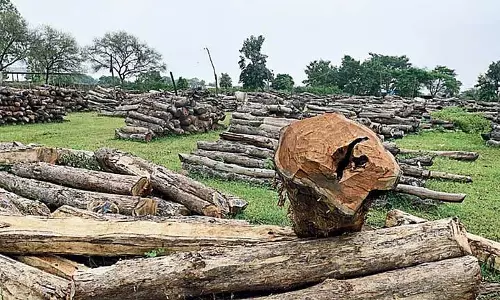 Assam : ढेकियाजुली में पेड़ और पौधों की तोड़फोड़ से आक्रोश Assam : ढेकियाजुली में पेड़ और पौधों की तोड़फोड़ से आक्रोश