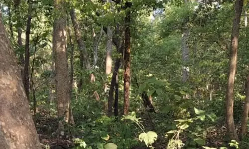 Odisha के बलांगीर में माओवादियों और सुरक्षा बलों के बीच गोलीबारी