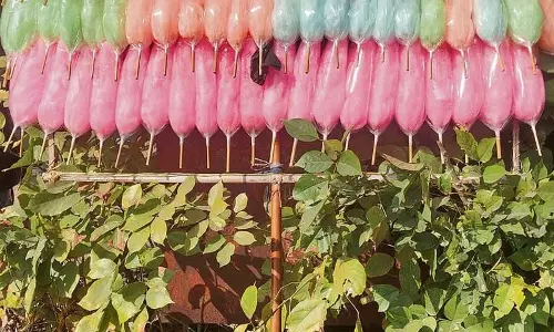 Haryana : करनाल में रसायन युक्त फास्ट फूड स्वास्थ्य के लिए चिंता का विषय