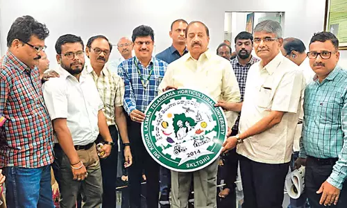 Telangana: सब्जी और फलों के बागानों को प्रोत्साहित किया जाना चाहिए Telangana: सब्जी और फलों के बागानों को प्रोत्साहित किया जाना चाहिए