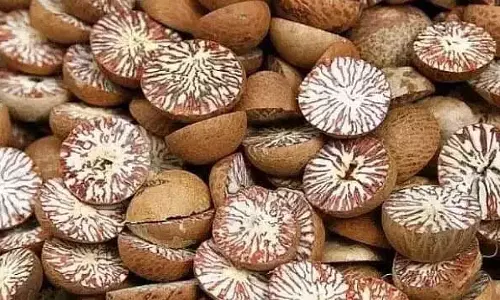 Tripura : बर्मी सुपारी की अवैध आवक से किसानों और अर्थव्यवस्था को खतरा